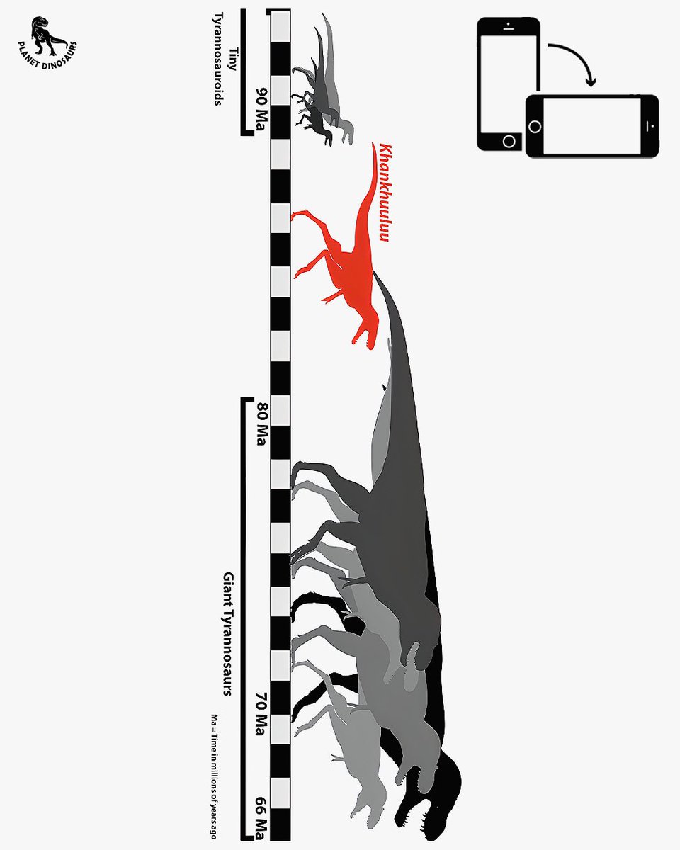 pltdinosaurs's tweet photo. New Species of Tyrannosauroid Dinosaur Discovered in Mongolia

#TRex #Tyrannosaurus #Tyrannosauroid #NewDinosaur #DinoDiscovery #MongoliaFossils #DinosaurBones #FossilFind #PrehistoricLife #CretaceousPeriod #DinoSpecies #Paleontology #DinoLovers #FossilHunter #DinosaurEra https://t.co/cgH758Fm81