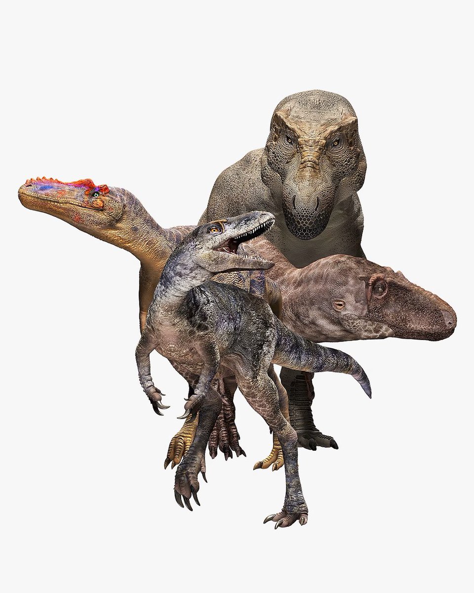 pltdinosaurs's tweet photo. New Species of Tyrannosauroid Dinosaur Discovered in Mongolia

#TRex #Tyrannosaurus #Tyrannosauroid #NewDinosaur #DinoDiscovery #MongoliaFossils #DinosaurBones #FossilFind #PrehistoricLife #CretaceousPeriod #DinoSpecies #Paleontology #DinoLovers #FossilHunter #DinosaurEra https://t.co/cgH758Fm81