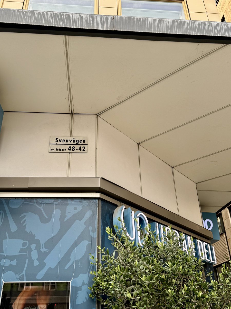 franksteibli's tweet image. In Gedenken an einen der bedeutendsten Sozialdemokraten, den die Welt erleben durfte und der hier brutal aus dem Leben gerissen wurde 1986: #Olof #Palme 🌹 #Stockholm #Schweden