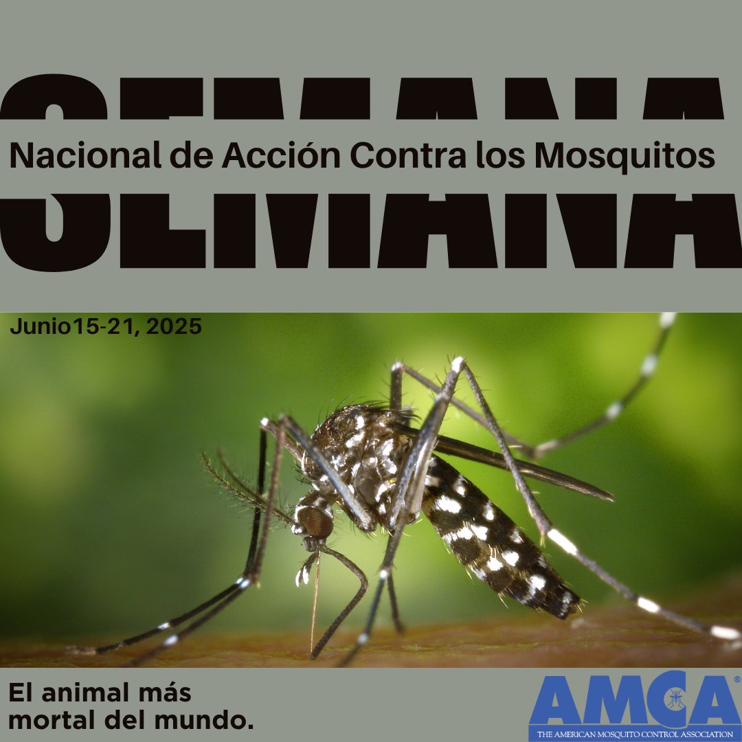 Today is the first day of National Mosquito Control Awareness Week! Help us spread awareness about the world's deadliest animal. Find social media assets to download and share on AMCA's website: mosquito.org/mosquito-aware…. #AMCA #mosquitoweek #mosquitocontrol #mosquitoes