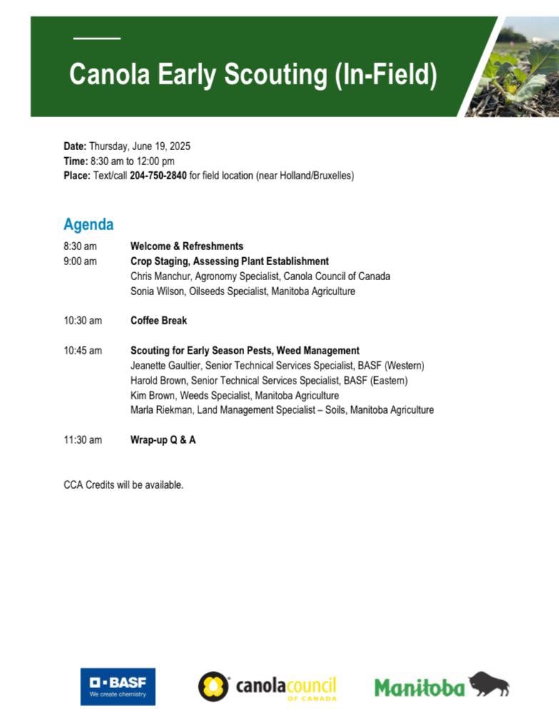 CallumMorrisons's tweet image. Canola Early Scouting In Field Event
📅 Thurs, June 19 | 🕣 8:30am–12pm
📍 Near Holland/Bruxelles (Text/call 204-750-2840 for location)
Crop staging, pest & weed ID, soils etc
CCA credits available!
#MBAg #CdnAg #WestCdnAg #AgTwitter