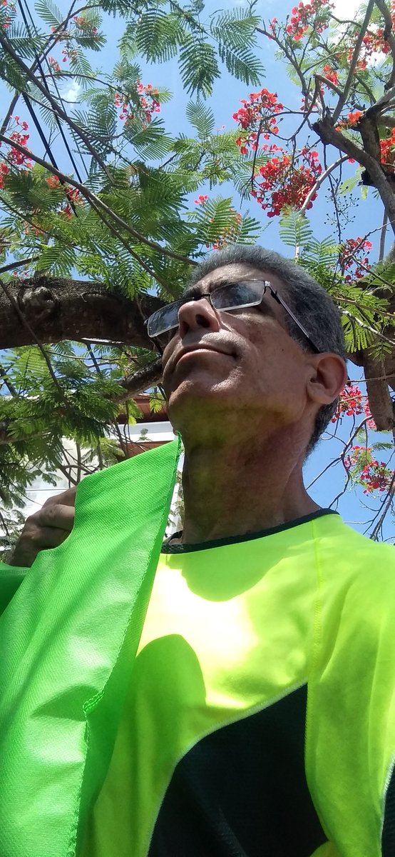 Felicidades a los papás,  en especial a los que saben combinarse la ropa con la jabita del pan...