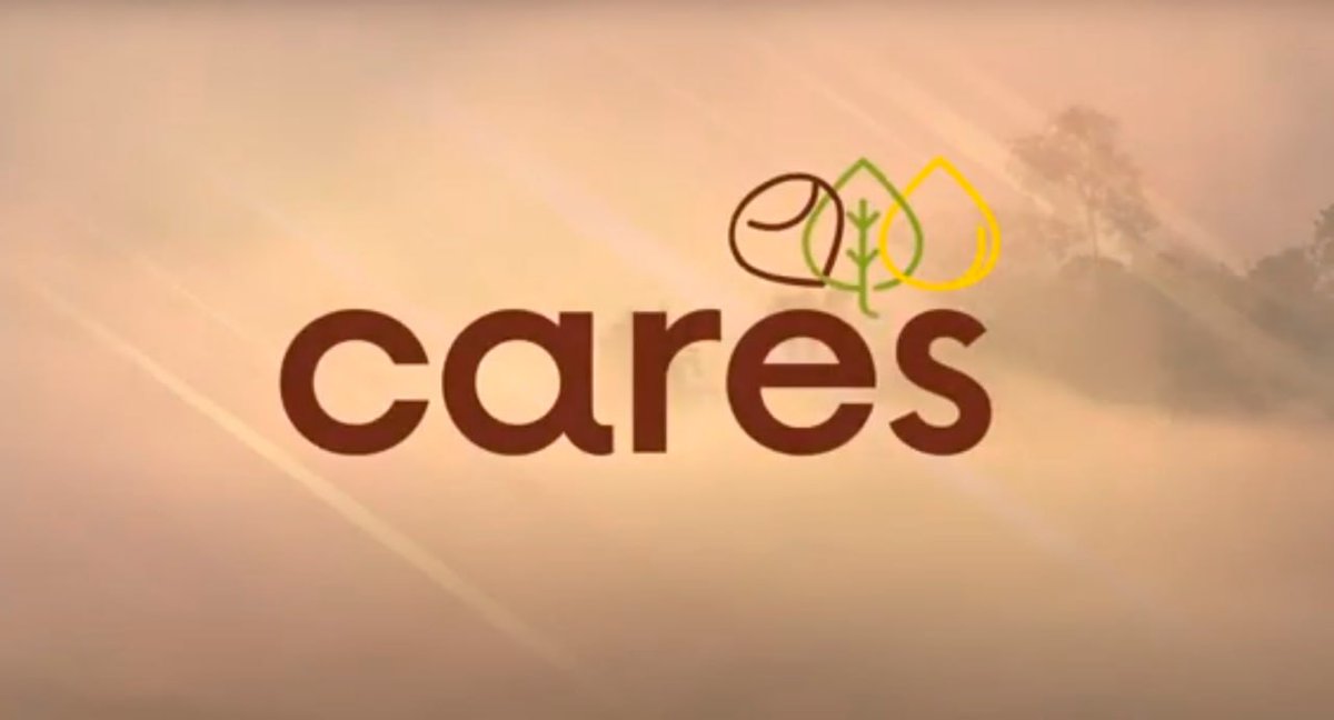 🌰 Proyecto CARES impulsa el aprovechamiento de castaña y resina para generar #empleorural de calidad y fomentar la #GestiónForestal activa y sostenible
🧐Más información en este vídeo 👇youtu.be/4Y5dlZM5H10
#ProyectosPRTR #NextGenerationEU
<a href="/FBiodiversidad/">Fundación Biodiversidad</a> #PlanDeRecuperación