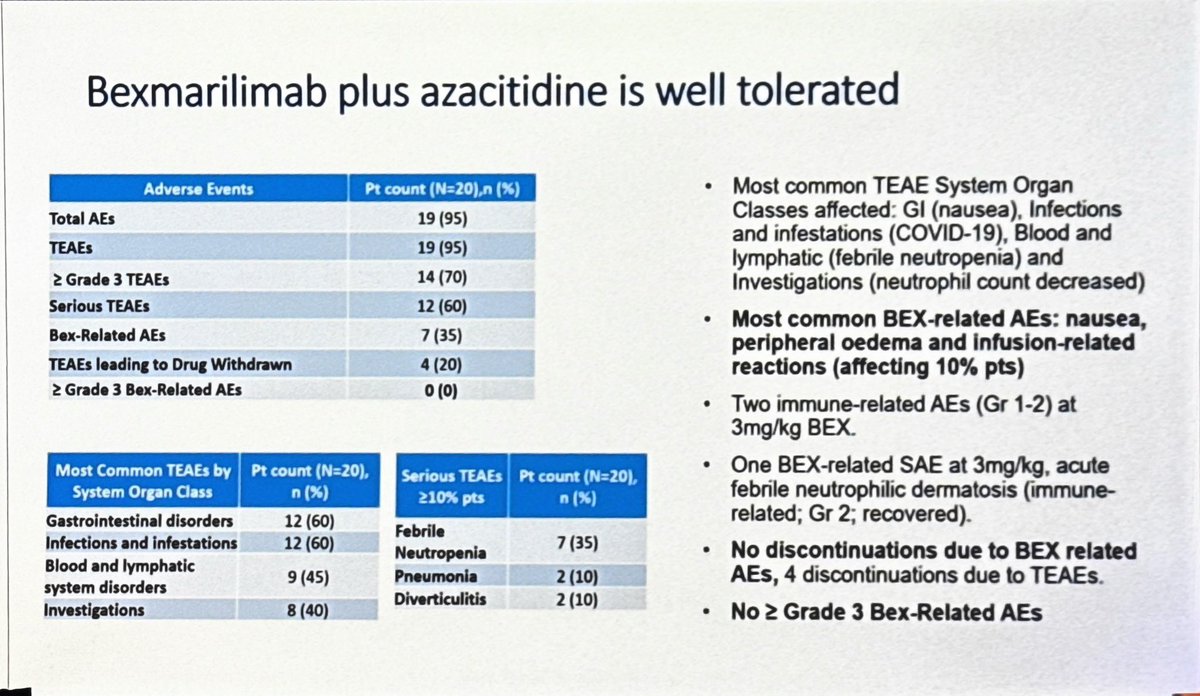 Macrophage Makeover: Bexmarilimab Boosts Azacitidine in High-Risk MDS and AML

Summary:
In a phase 1 trial, the Clever-1–blocking antibody bexmarilimab, combined with azacitidine, showed a manageable safety profile and encouraging clinical activity in patients with high-risk