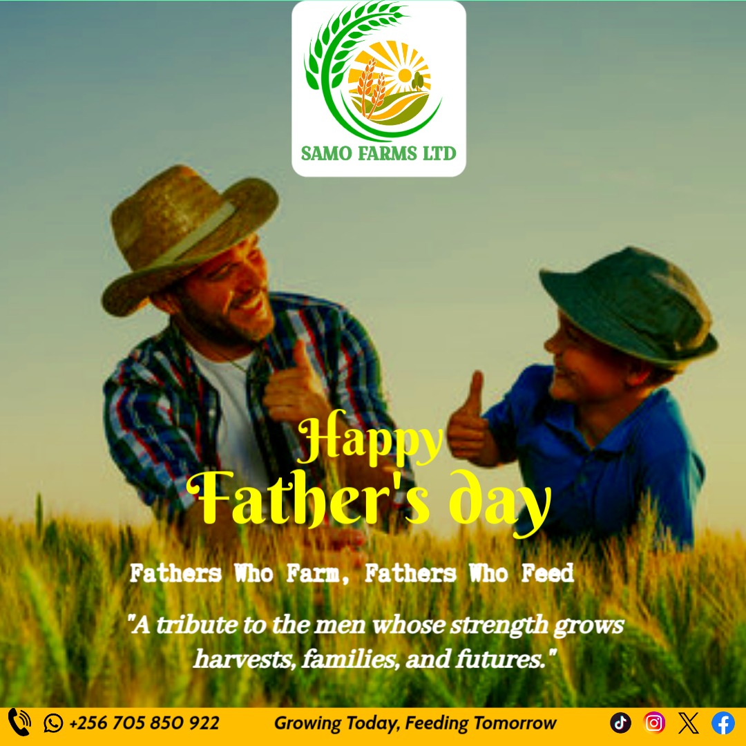 Samo Farms Ltd tweet media