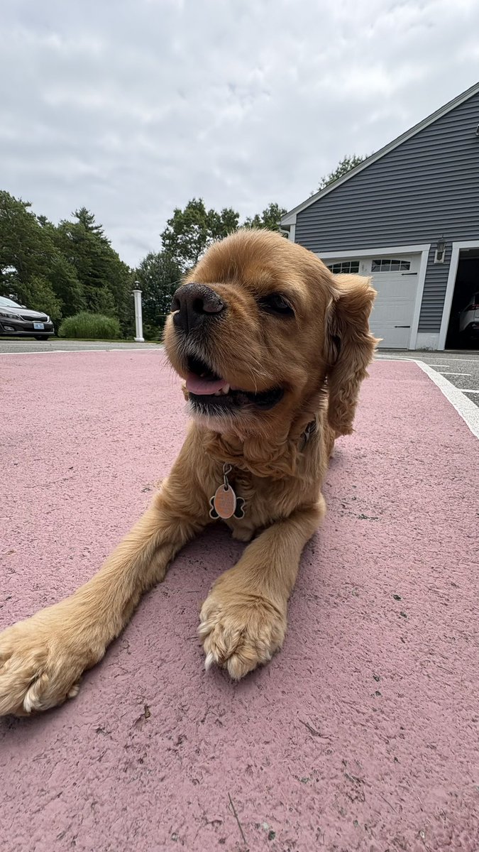 May not be Oakmont but we do hand mow our rough here! Cooper giving us tips on our game