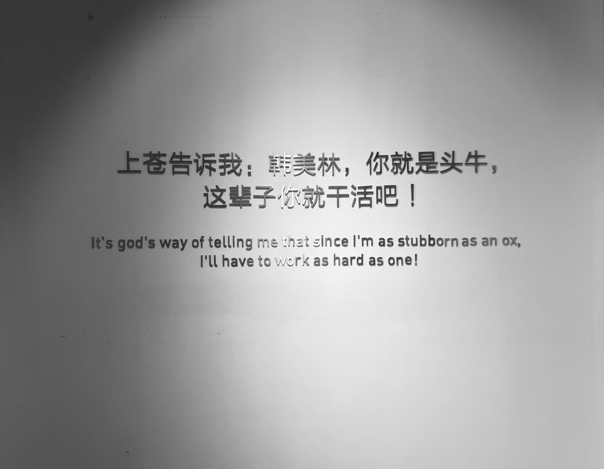 0951的业余摄影狮 tweet media
