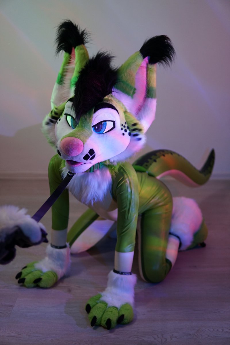 Have an obedient dog for #internationaldayoflatex 💚

#squeakysunday #latex #latexfur