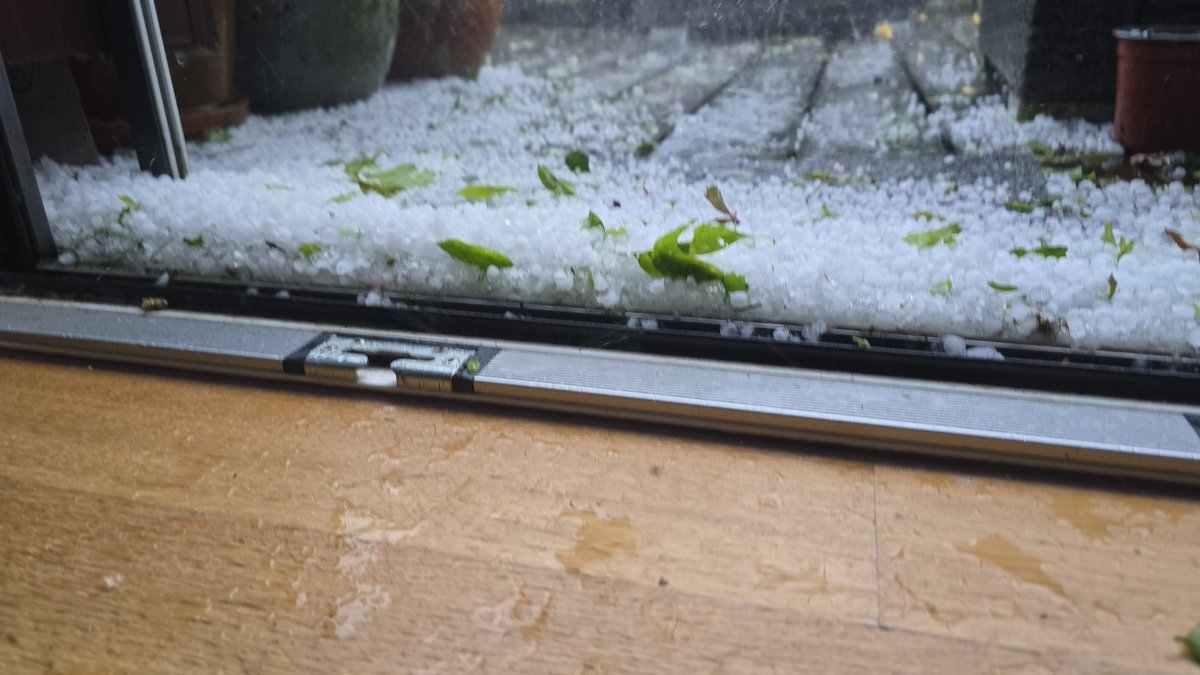 Tobias Menzi 📯🇺🇦🏳️‍🌈 tweet media