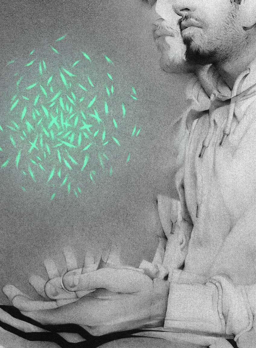 Self (Dissociation)
Graphite