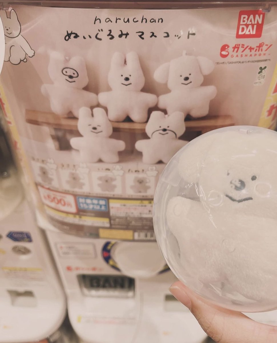 chicooi02's tweet photo. わーい https://t.co/yGjB0io1kV
