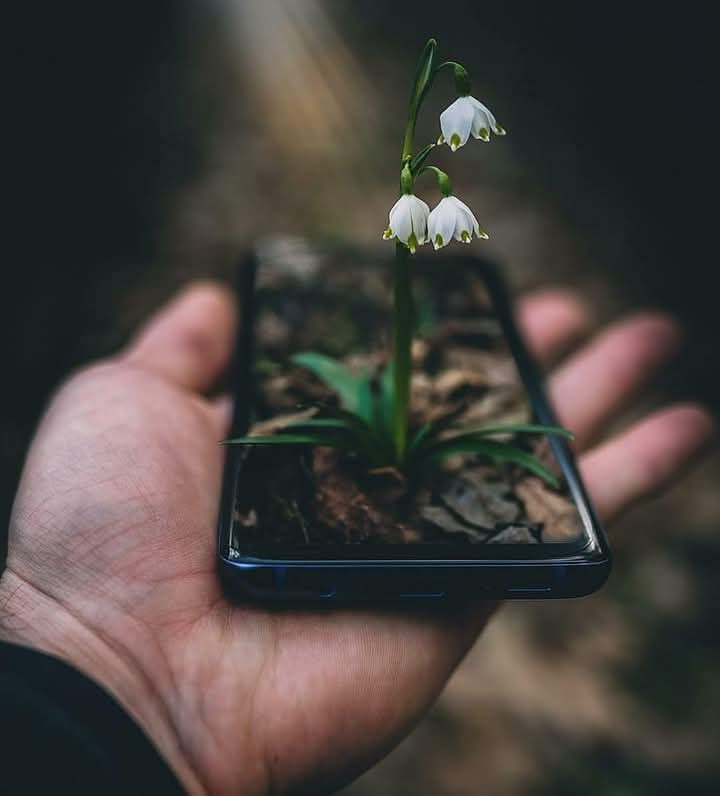 Bazı insanların sana olan yakınlığı ve uzaklığı, #menfaatlerine göre değişir.
#Vefa mı.?
İnsanlar onu #toprağa gömeli
uzun #zaman oldu. #Bekleme.