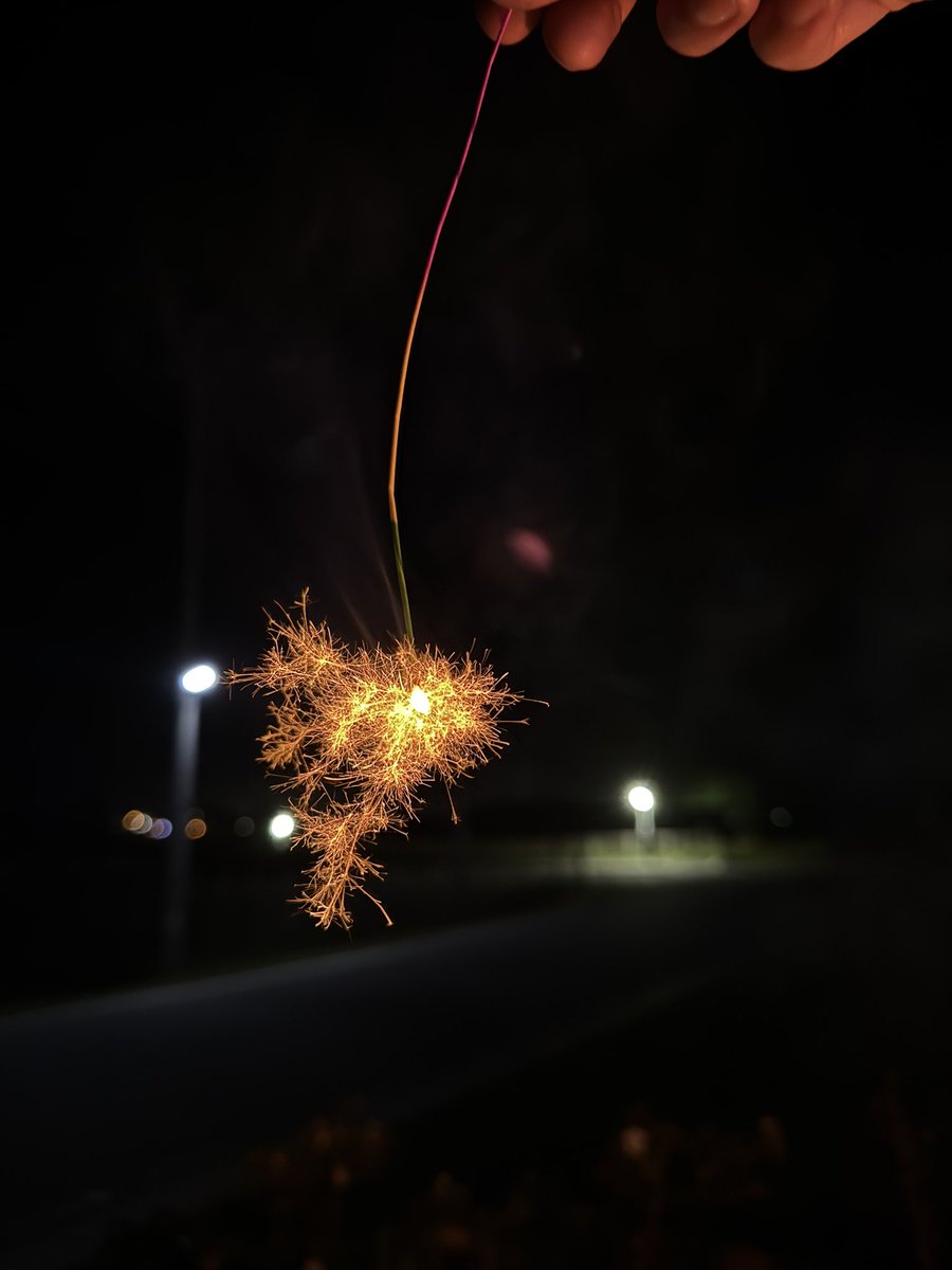 ポップコーン作ったり花火して良い一日だった