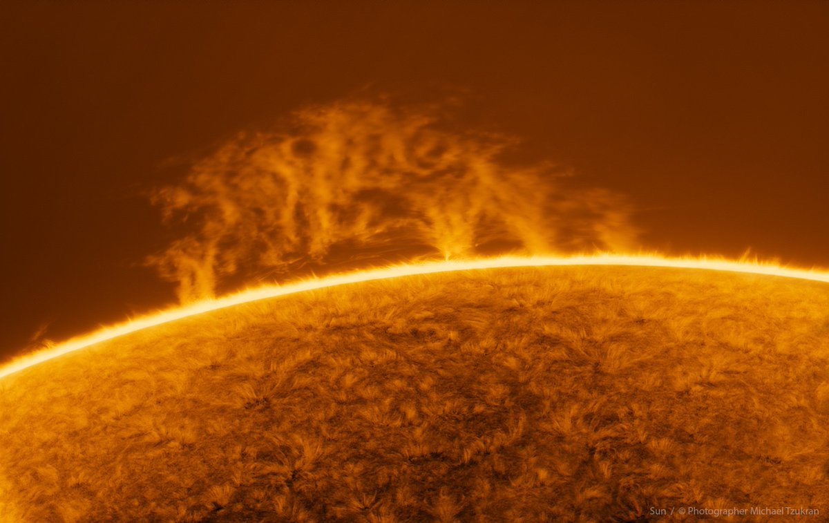 Your.daily.astro tweet media