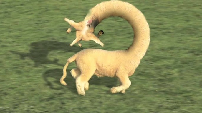 ayazyrule's tweet photo. Your bags aren’t slow. You’re just not running with $SHE 🐑💨
Buy in or be trampled.
#Solana #CryptoMeme #WAGMI https://t.co/K8ip8Ln5rE