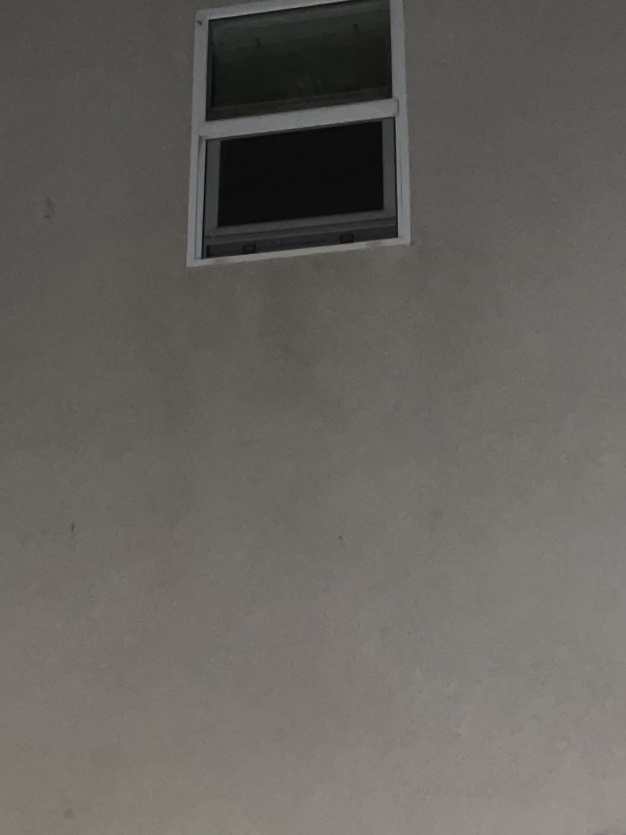 Asian neighbors been fumigating my office all night long