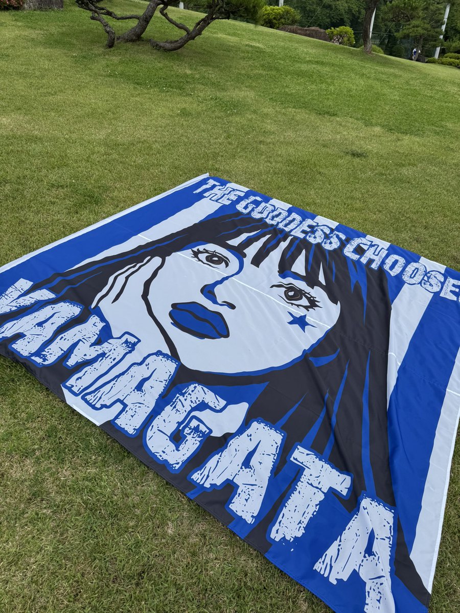 たきお tweet media