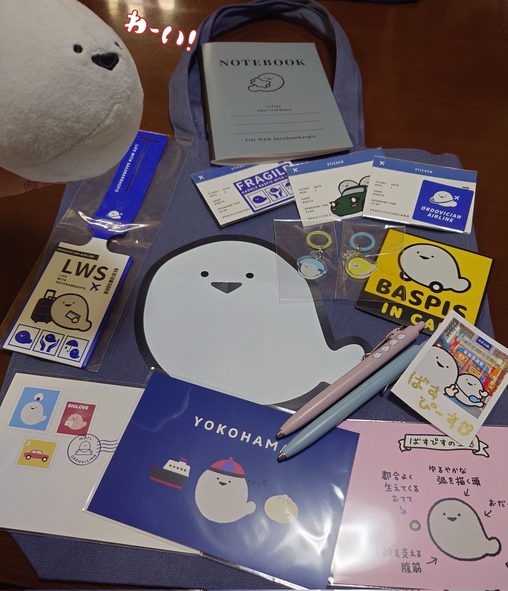 本日の戦利品！
同窓会総会終わってからダッシュで駆け付けたので、終了30分前息を切らして汗だくで駆け込んでしまいました😅

娘にも頼まれていたので、無事にお迎えできて良かった！おうちの先住ぴすちゃんも仲間が増えて大喜びです🥰

#サカバンバスピスのいる生活　#ヨコハマハンドメイドマルシェ