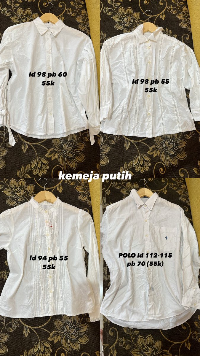 zara 🪸 tweet media