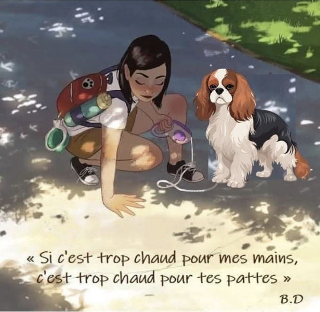 Petite piqûre de rappel !!