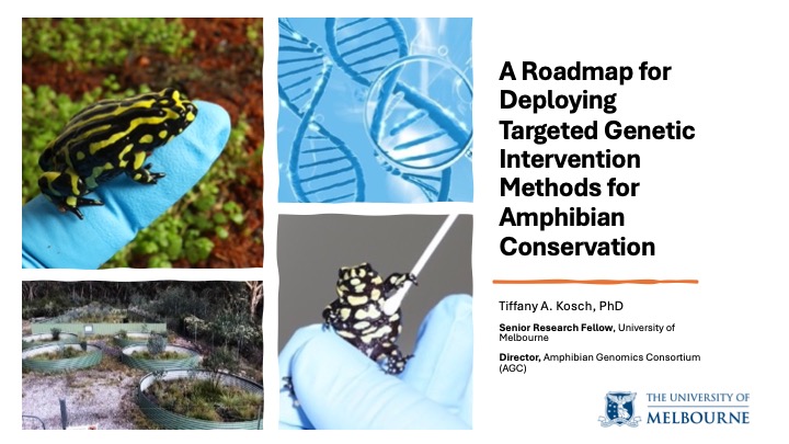 TAKosch's tweet image. Looking forward to presenting my work tomorrow at #iccb2025. If you’re at the conference, come by!