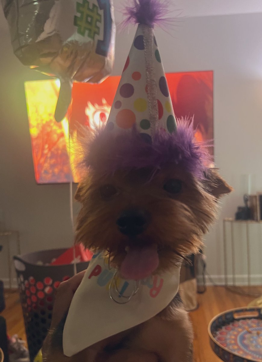 TxxRedd's tweet image. Happy Pupday!!!! #JAVABEAN