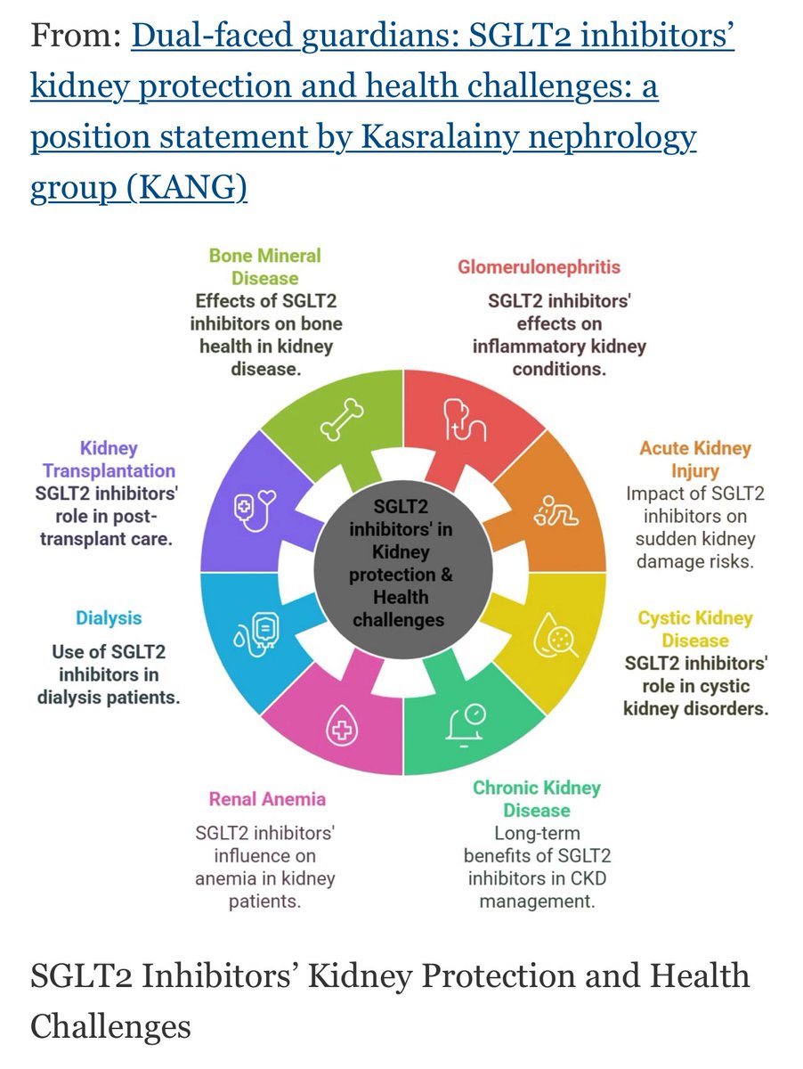 Dual-faced guardians: SGLT2 inhibitors’ kidney protection and health challenges

SGLT2 inhibitors provide kidney protection by enhancing tubuloglomerular feedback, improving renal blood flow, and reducing inflammation and ischemic tissue damage.

dmsjournal.biomedcentral.com/articles/10.11…