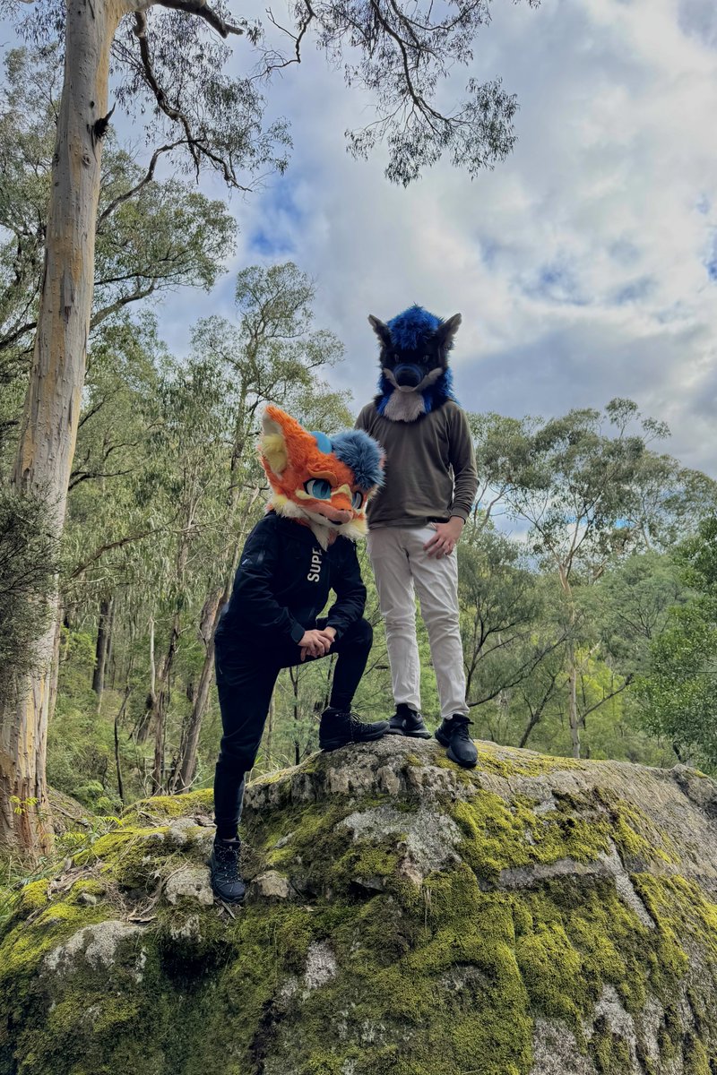HiddenDerg's tweet image. You can find the weirdest animals in the forest, at least they are cute :3
