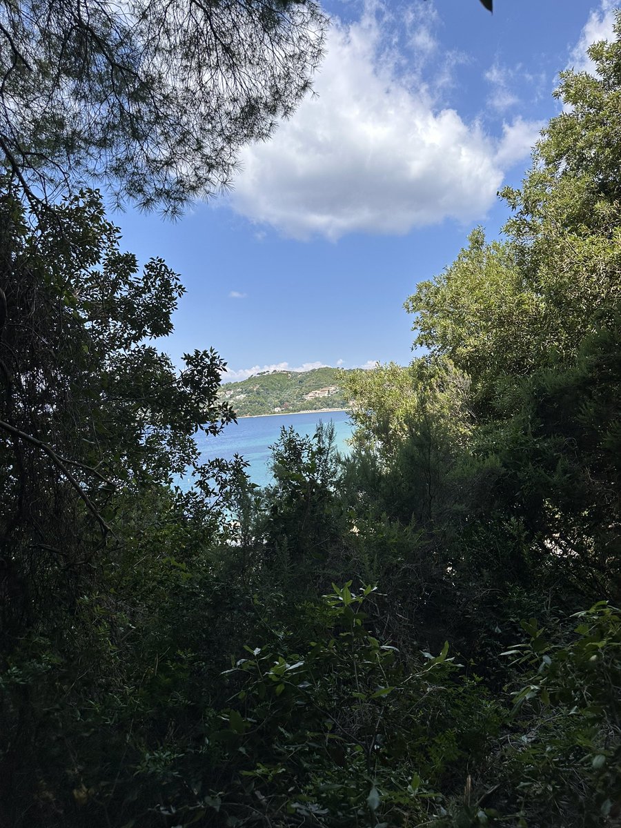 auvahalo's tweet photo. #freeanas pls just let us play fncs so we atlests have a chance to compete I get the 28 day ban but for us not to be able to fncs is outrageous @Fortnite @FNCompetitive 
+🇬🇷🇬🇷 https://t.co/22TbenpovM