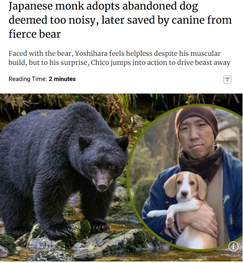 Battle Beagle tweet media