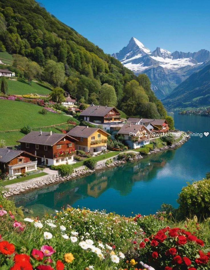 RechargAmerica's tweet photo. Switzerland 🇨🇭 https://t.co/UgzpsYB7nD