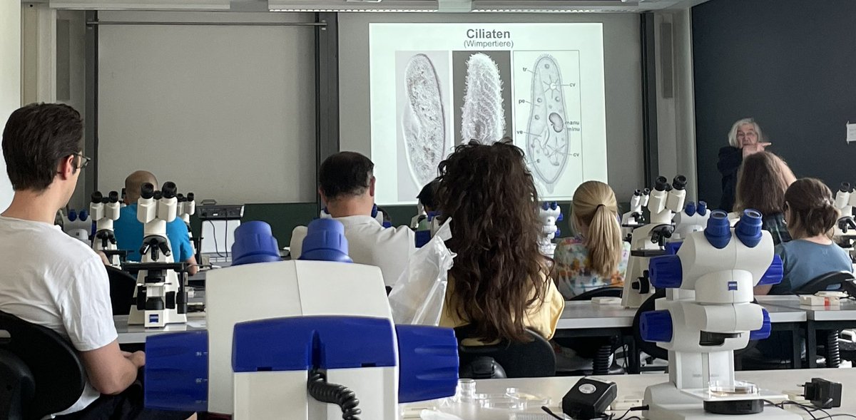 Zweiter Tag: Im Rahmen der „Langen Tage der Stadtnatur“ in Berlin veranstaltet „meine“ Berliner Mikroskopische Gesellschaft Workshops für Jugendliche und Erwachsene. Gerade gibt Prof. Hausmann eine Einführung in das Leben im Wassertropfen. Gleich beginnt der praktische Teil.