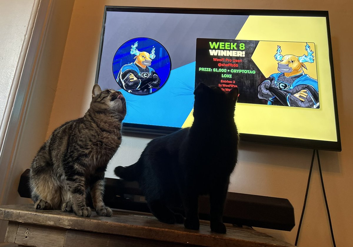 Ryry7703's tweet photo. @CredibleCrypto Lola and Rocket are ready! But it looks like only Lola is sticking with me. https://t.co/tOMB0EMKFe