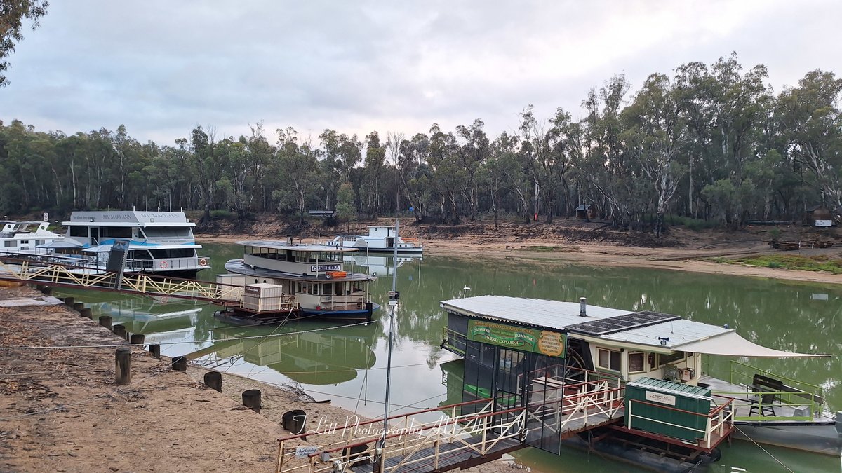 TonyL_Tchum's tweet photo. Bit wet around the river tracks this morning.
A quick trip, kept off the dirt paths.
#MurrayRiver #CampaspeRiver https://t.co/nQDUd9pzXQ