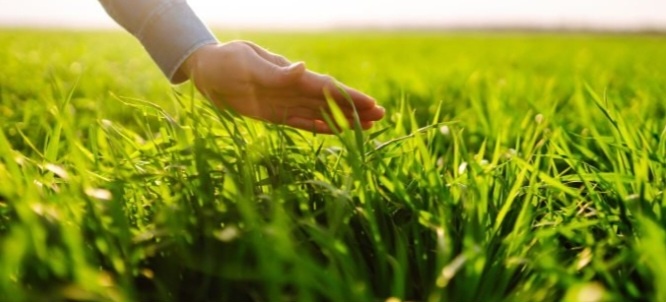 inno649's tweet photo. #openseatouchgrass 

good morning https://t.co/O2B3dj899t