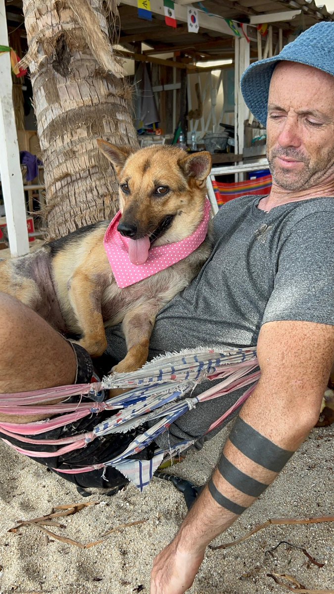 More of Chance and he big day out on my insta today…

instagram.com/niall.harbison

A follow there helps me and the dogs so much 🥰🙏