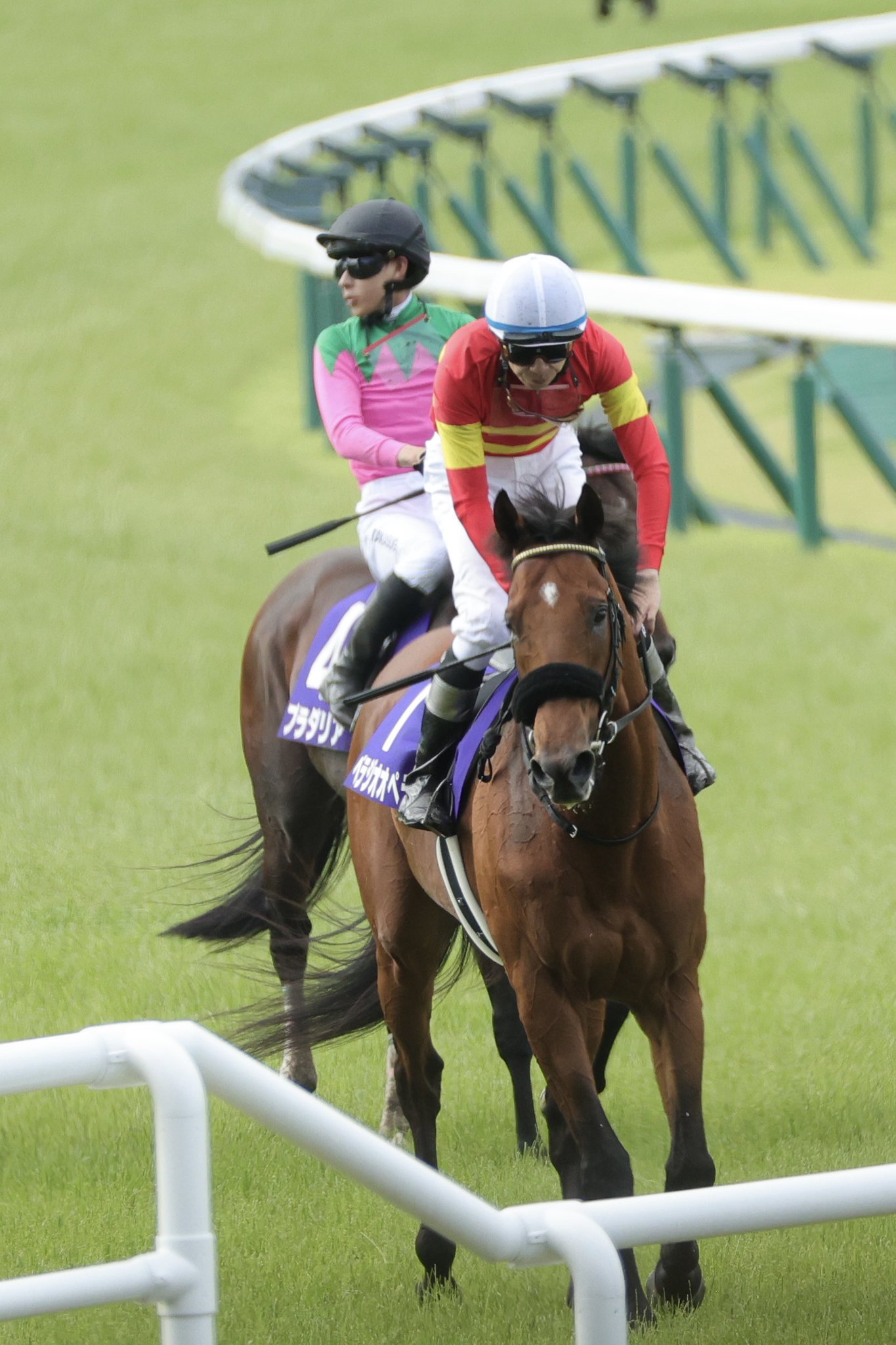JRAポスター ベラジオオペラ WIN!競馬_総合【公式】 on X: 