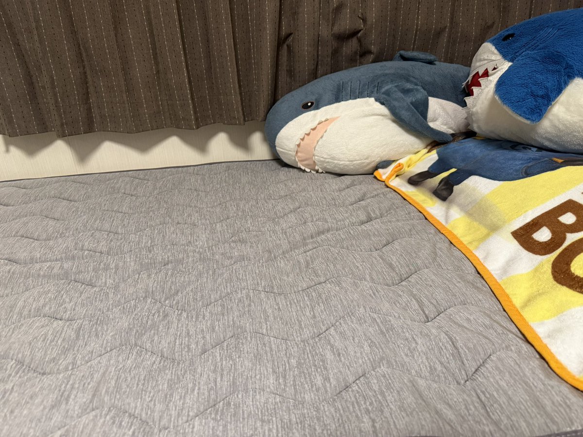 敷きパッド新しくした！！