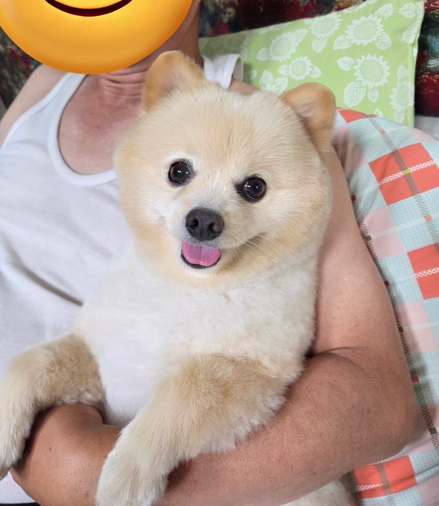 인절미 유과 보실분....💛