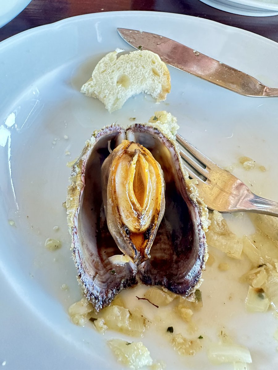 I came for lunch, not a life-altering encounter with a mollusk. 😳💅
Why does it look like it’s about to whisper secrets and ruin my life?
#SeafoodWithIntentions #WhatIsThisSeduction