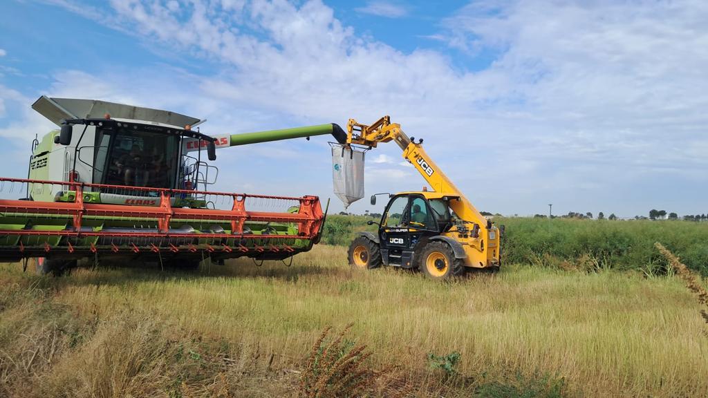 Daniel Plaza-Bonilla (@dplaza_bonilla) on Twitter photo Summer ☀️ is arriving and on-farm field research is on-fire. Overlap of winter crops maturity and harvest and summer irrigated ones planting and on fast development. Non-stop.
<a href="/UdL_RDI/">Recerca i Transferència UdL</a>
<a href="/Agrotecnio/">Agrotecnio Research Centre</a> Summer ☀️ is arriving and on-farm field research is on-fire. Overlap of winter crops maturity and harvest and summer irrigated ones planting and on fast development. Non-stop.
<a href="/UdL_RDI/">Recerca i Transferència UdL</a>
<a href="/Agrotecnio/">Agrotecnio Research Centre</a>
