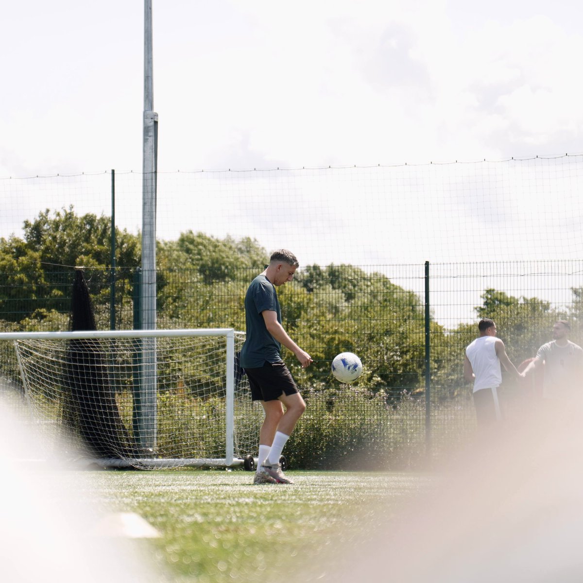 Pierce McNamara tweet media