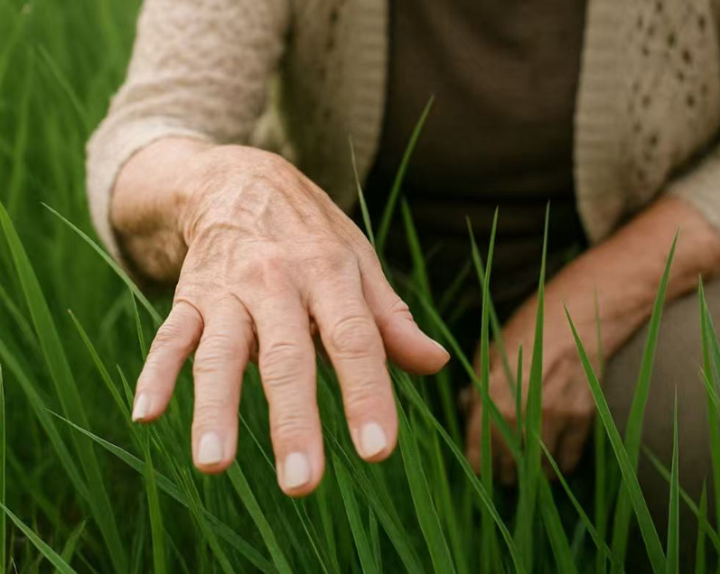 Fingertips brushing vibrant green — a signal of summer.
#openseatouchgrass  #opensea  <a href="/opensea/">OpenSea</a>