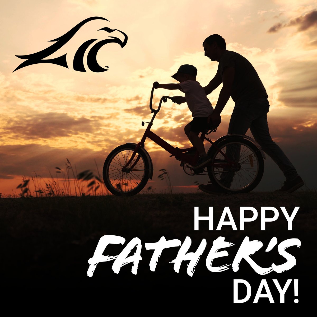 CustomsIowa's tweet photo. To all the Dads out there who help us keep the wheels on the road, Happy Father's Day! 

#FathersDay https://t.co/SWtVUOJir9