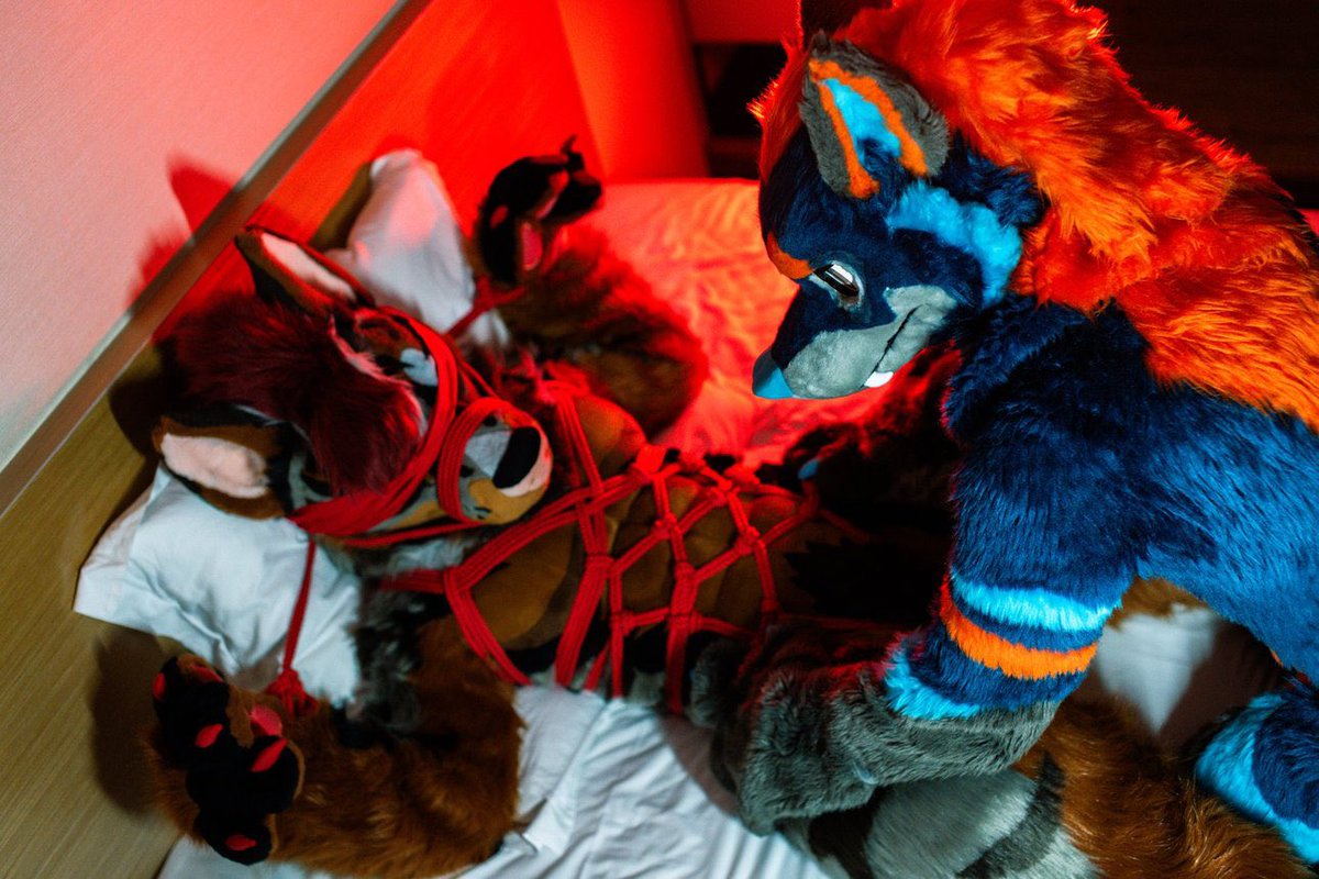 弱点は... ここか？🤔 

🐕 <a href="/run_charizard/">るん (Run)→Infurnity</a>
🐺 <a href="/DuskonZeon/">蒼曉 Duskon ダスコン 🐺🔥🐕‍🦺</a> 
🧶 <a href="/SilverKin37/">銀縛 - Shibari</a> 

📸 <a href="/eps_ham/">ハム Ham</a>