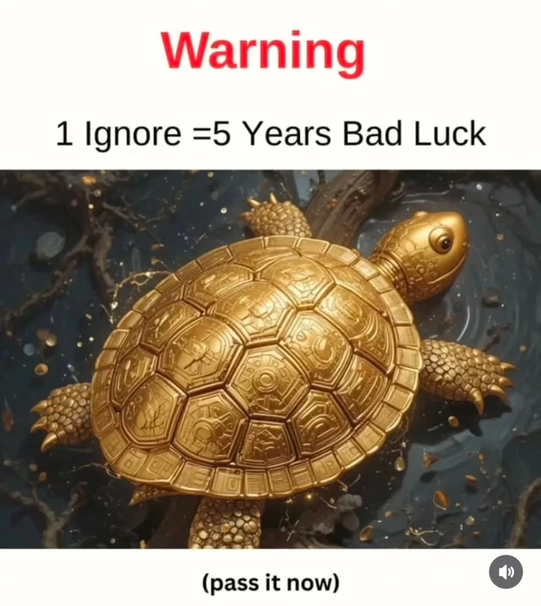 Drop 11:11 To Claim it!