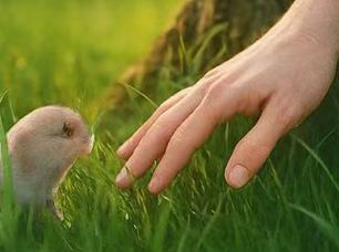 Finding the warmth of reality in the virtual.
#openseatouchgrass  #opensea  <a href="/opensea/">OpenSea</a>