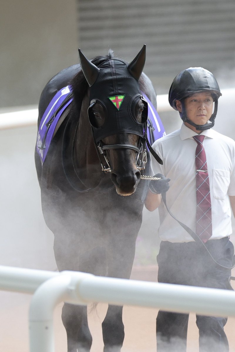 INONECO0706's tweet image. 2025年6月15日
阪神競馬場11R 宝塚記念
#ジャスティンパレス