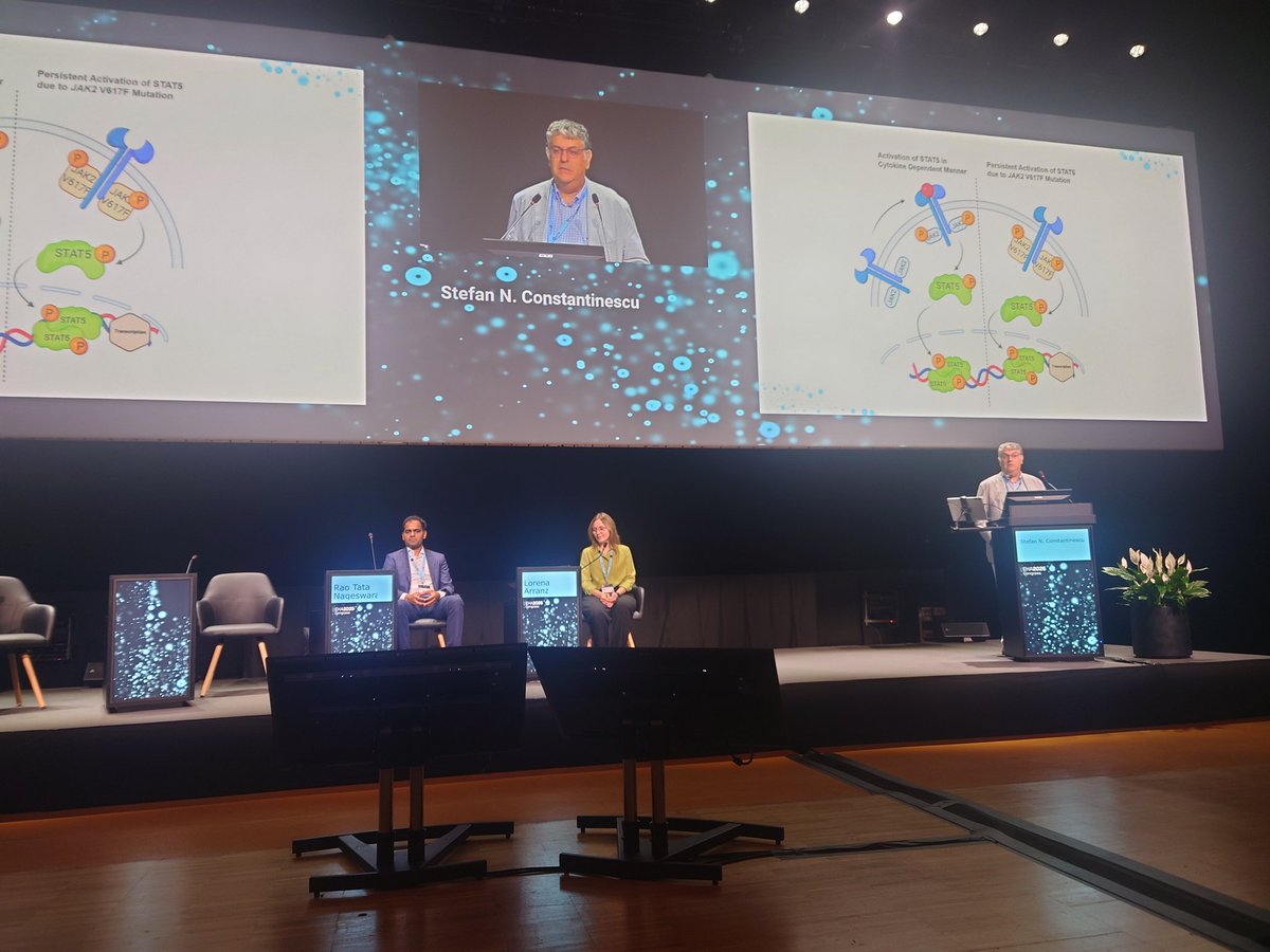 Vincent Cuminetti (@v_cuminetti) on Twitter photo Fantastic session on novel MPN treatment strategies chaired by <a href="/lorena_arranz/">LArranz Lab</a> on this last day at #EHA2025. Very interesting talks by really good speakers! Fantastic session on novel MPN treatment strategies chaired by <a href="/lorena_arranz/">LArranz Lab</a> on this last day at #EHA2025. Very interesting talks by really good speakers!