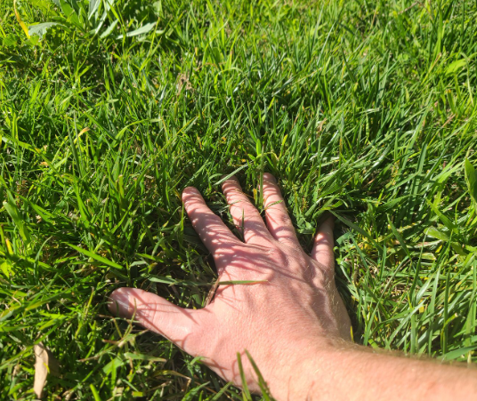 0xshang's tweet photo. #openseatouchgrass https://t.co/nPmIfuTDHK